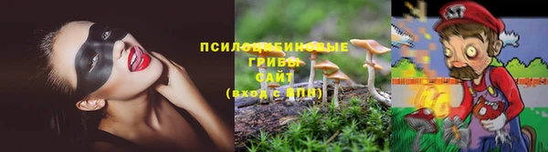стафф Алексеевка