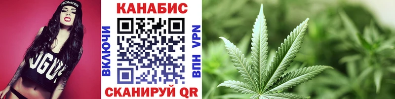 Бошки Шишки VHQ  Багратионовск 